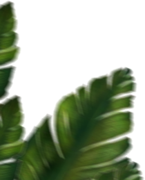 leaf-top-left