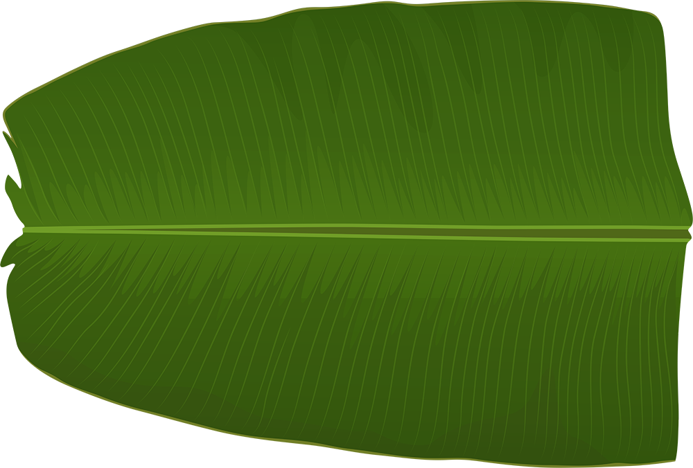 dish